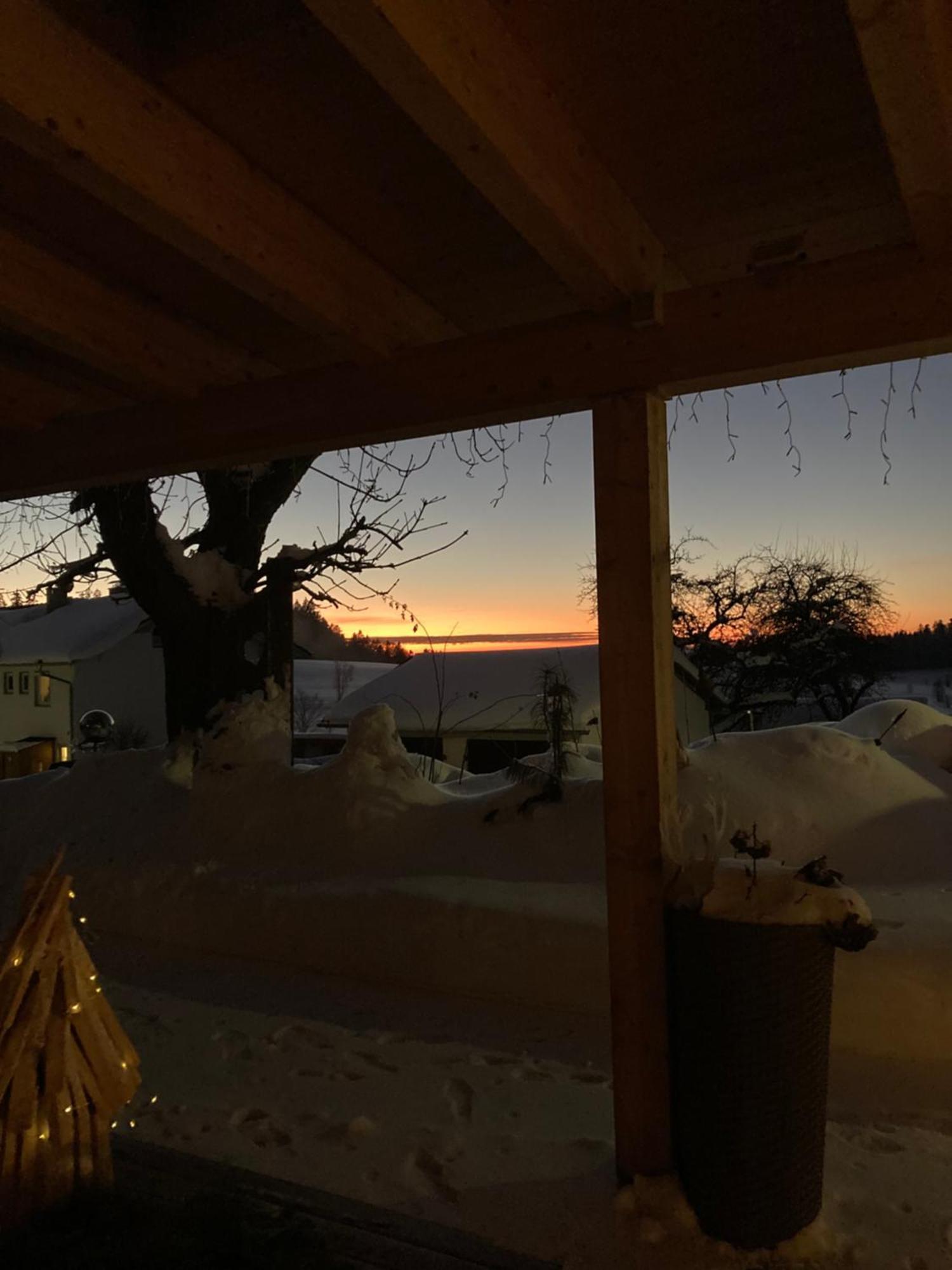 Zur Neuen Post Landgasthof Herzogsreut エクステリア 写真