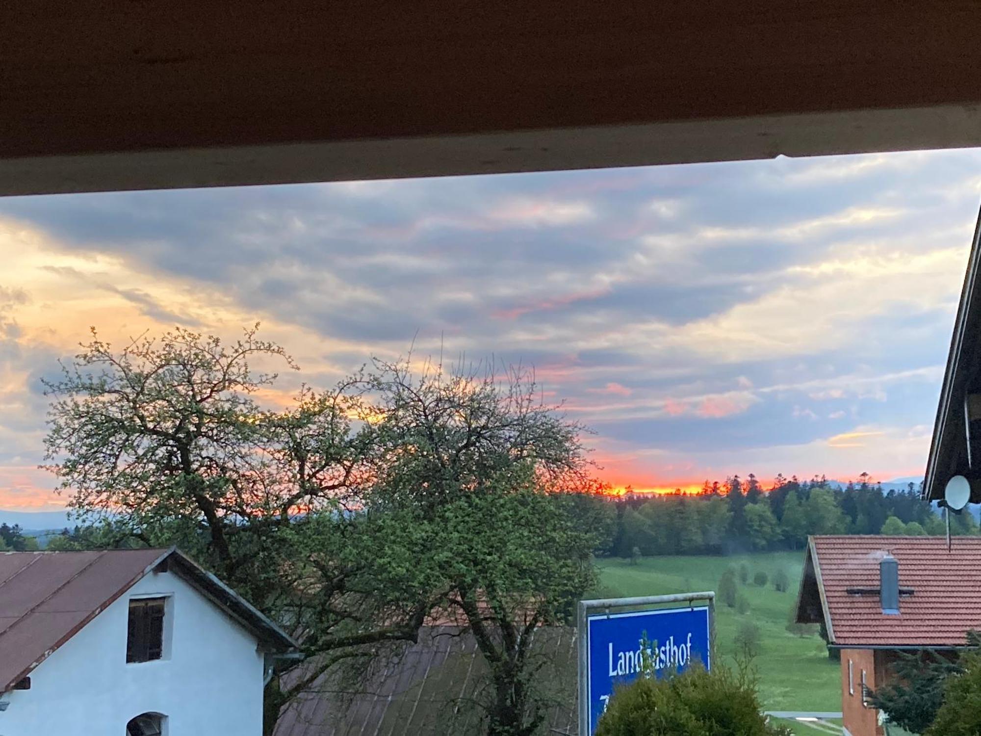 Zur Neuen Post Landgasthof Herzogsreut エクステリア 写真