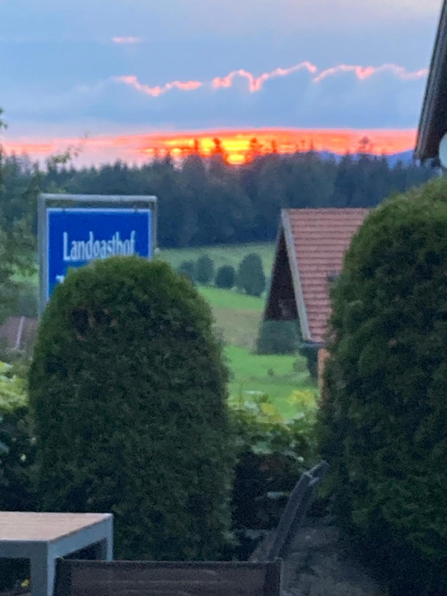 Zur Neuen Post Landgasthof Herzogsreut エクステリア 写真