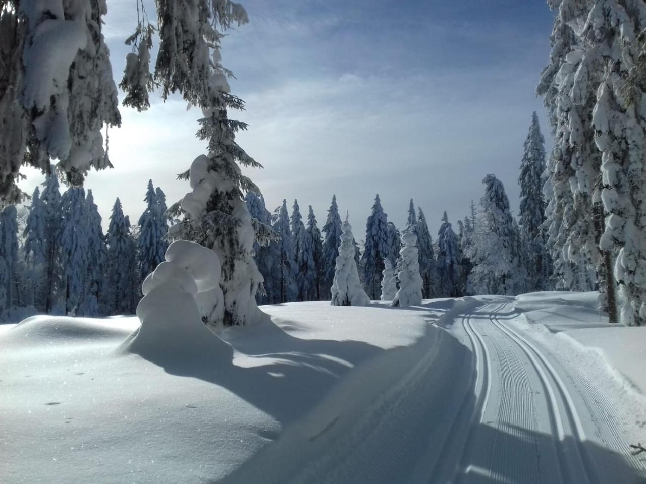 Zur Neuen Post Landgasthof Herzogsreut エクステリア 写真